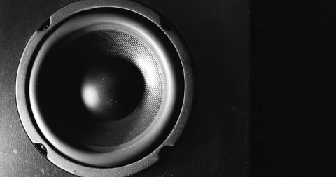 Subwoofer with black part Stock Footage 156866181