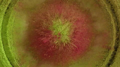 Subwoofer with pink and green paint powder top view. Bass speaker, loud music Stock Footage 170587853