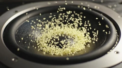 The subwoofer speaker vibrates while playing the deep bass of a music Stock Footage 287270034