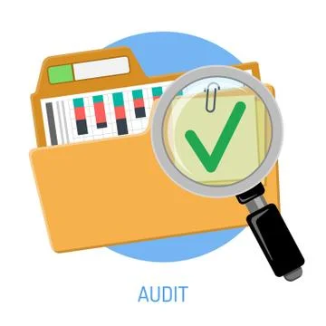 Success Audit Concept Stock Illustration
