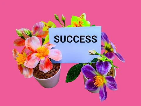 Success concept with artificial flower tree and words 스톡 사진