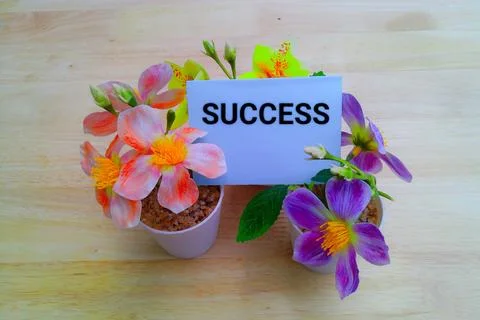 Success concept  Stock-Fotos