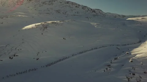 Success: Cooperation and hard work through the snow in Greenland Stock Footage 65146807