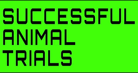 Success human trials text green screen, masked glitched effect. Stock Footage 132623924