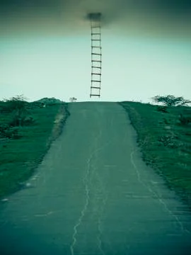 Success, ladder, concept Stock Photos