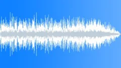 A Successful Day (30 secs No Beat)Stock Music