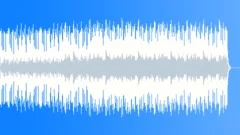 Successful Deal Stock Music