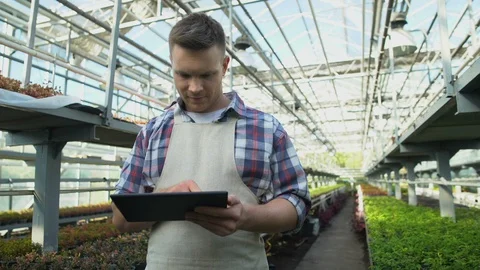 Successful farmer checking greenhouse climate control app on tablet, technology Vidéo 118974965