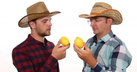Successful Farmer Men Talking Examining Quality Exotic Tropical Bio Lemon Fruit Stock Footage 77009545