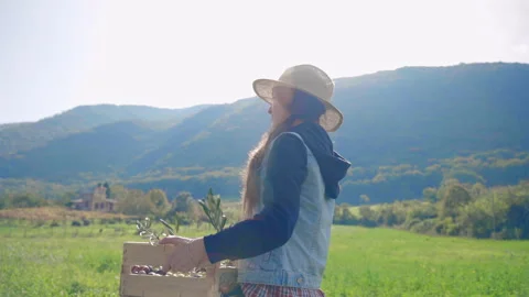 Successful farmer in straw hat walking along the countryside olive grove with Stock Footage 242025316