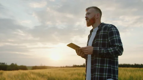 A successful farmer of thirty years in a tablet in a field at sunset Stock Footage 201484591
