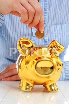 Successful investments. Stock Photos