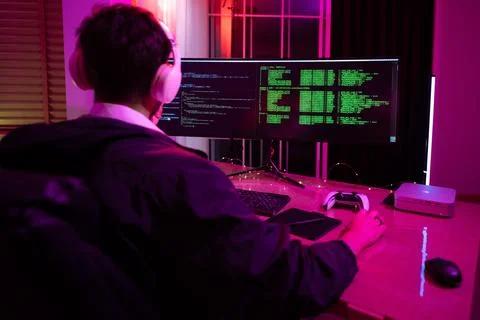 Successful IT developer. Stock Photos