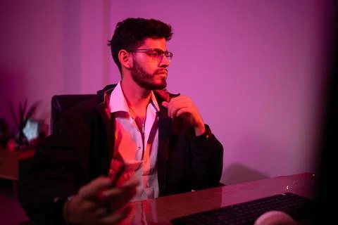 Successful IT developer. Stock Photos