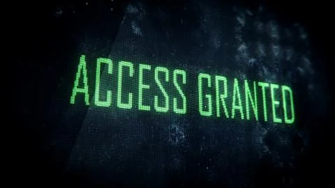 Successful login, access granted screen text, system message, notification Stock Illustration