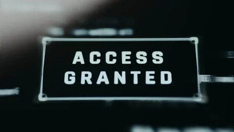 Successful system authorization with ACCESS GRANTED message Stock Footage 334922475