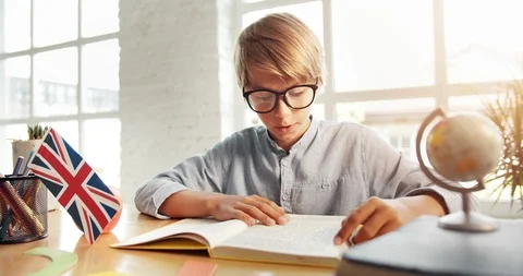Successful Young Boy Studying Видео 115314490