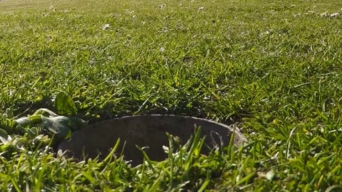A successfull putt Stock Footage 77863507