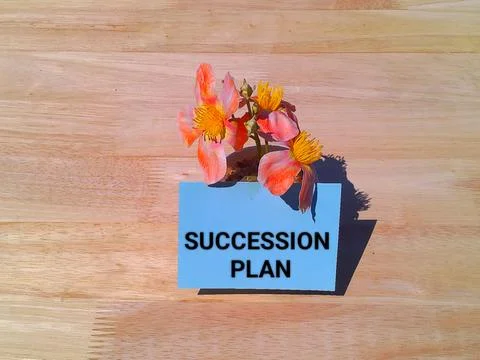 Succession plan concept  Stock-Fotos