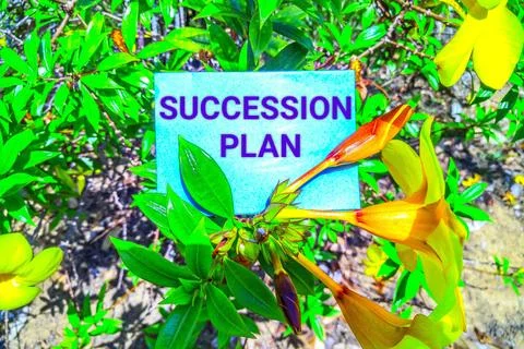 Succession plan concept  Stock-Fotos