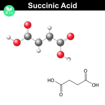 Succinic acid molecule Stock Illustration