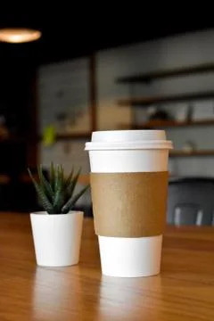 Succulent and Coffee Stock Photos