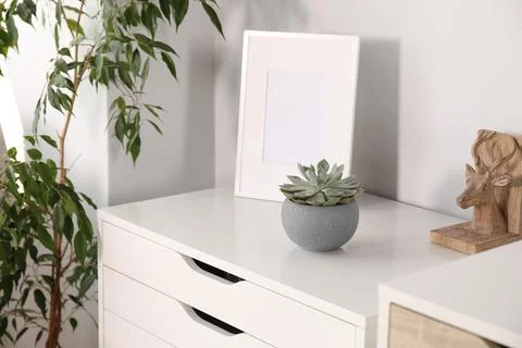 Succulent and decor elements on white chest of drawers in room 스톡 사진