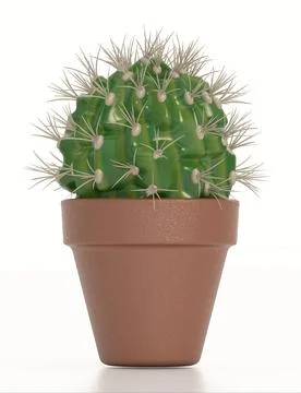 Succulent cactus isolated on white background. 3D illustration Stock Illustration