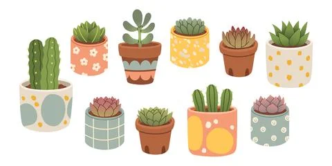 Succulent cactus set. Cactus succulent in pot, cartoon flat style. Cacti set Stock Illustration