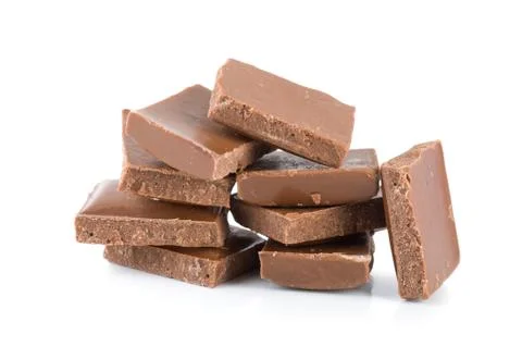 Succulent chocolate blocks Stock Photos