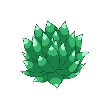 Succulent doodle icon, vector hand draw illustration Stock Illustration