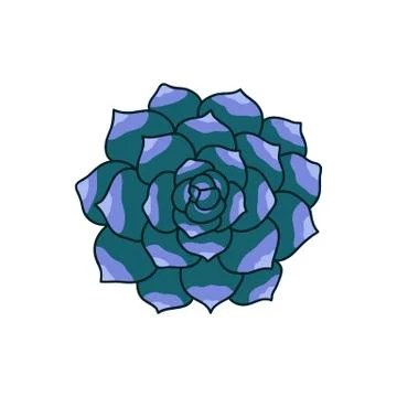 Succulent doodle icon, vector hand draw illustration Stock Illustration
