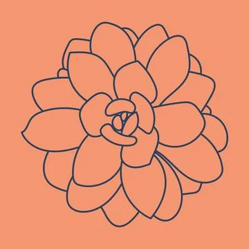 Succulent doodle pattern. Desert flower sketch. Succulent line art background 스톡 일러스트