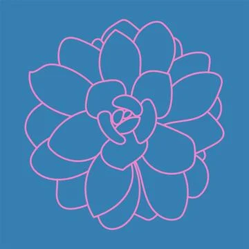 Succulent flat line icon. Thin sign of house plant, cute botanical logo. Nature Stock Illustration