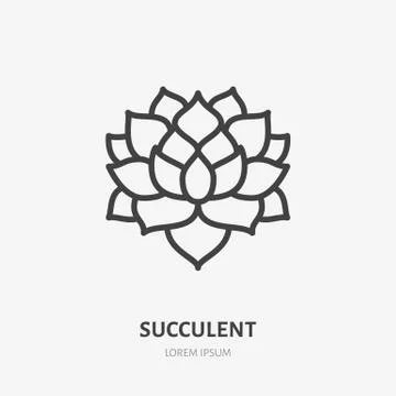 Succulent flat line icon. Vector thin sign of house plant, botanical logo Stock Illustration