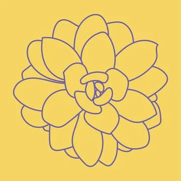Succulent pattern, Logo icon. Beautiful background. Modern wallpaper. Stock Illustration
