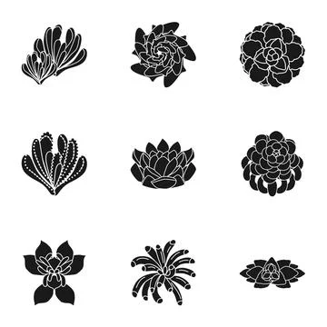 Succulent plant icon set, simple style Stock Illustration