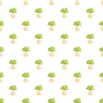 Succulent plant repeating pattern on white background Stock Illustration