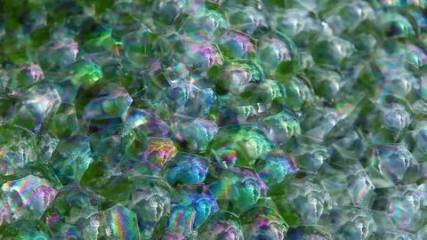 Succulent plant soap bubbles background hd footage nobody Stock Footage 107907239