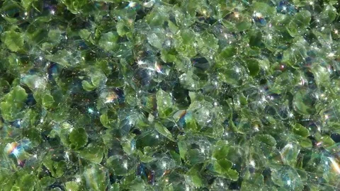 Succulent plant soap bubbles background hd footage nobody Stock Footage 107907284