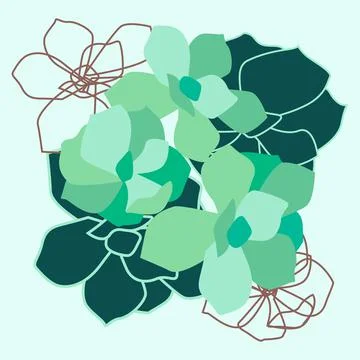 Succulent plants with separate contours vector EPS Stock Illustration