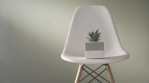 Succulent in pot on chair Stock Footage 103853087