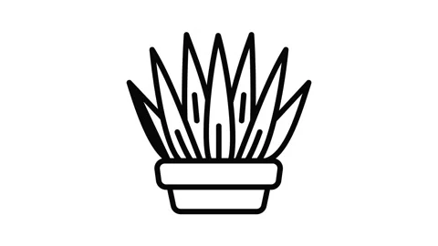 Succulent pot icon animation 库存影片 153090638