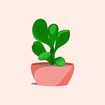 Succulent in a pot Stock Illustration