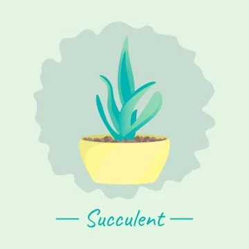 Succulent in a pot Stock Illustration