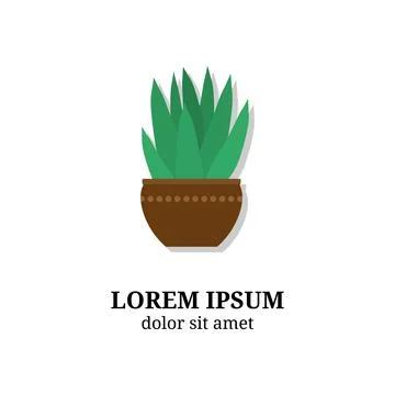 Succulent in pot. Stock-Illustration