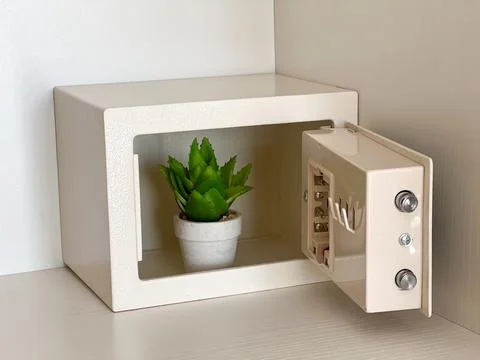 Succulent in safe. Environmental conservation. Keep nature safe Foto stock