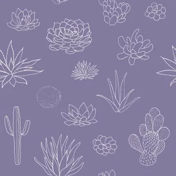 Succulent seamless pattern, hand drawn vector illustration. outline sketch chalk Stock Illustration