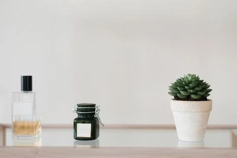 A succulent in a white ceramic pot and a candle in the decor of the room on.. Stock Photos