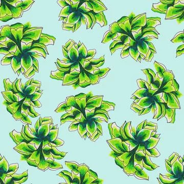 Succulents flowers Stock Illustration